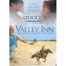 FILME-VALLEY INN (DVD)