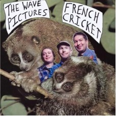WAVE PICTURES-FRENCH CRICKET (2-7")