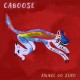 CABOOSE-AWAKE GO ZERO (CD)