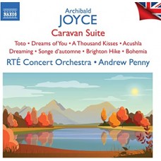 RTE CONCERT ORCHESTRA/ANDREW PENNY-BRITISH LIGHT MUSIC VOL. 13 (CD)