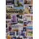 V/A-LIVE FROM BONNAROO 2009 (DVD)