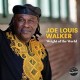 JOE LOUIS WALKER-WEIGHT OF THE WORLD (LP)