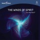 BYRON METCALF & MARK SEELIG-WINDS OF SPIRIT WITH HEMI-SYNC (CD)