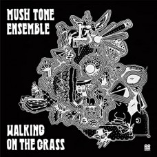 MUSH TONE ENSEMBLE-WALKING ON THE GRASS (LP)