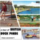 FRAN ASHCROFT-A TOUR OF BRITISH DUCK PONDS (CD)