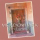 WILL SUMNER-MEADOWLARK (CD)