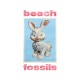 BEACH FOSSILS-BUNNY (CD)