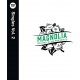V/A-MAGNOLIA RECORD CLUB PRESENTS: SPOTIFY SINGLES VOL.2 (LP)