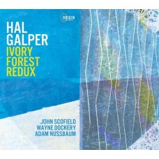 HAL GALPER/JOHN SCOFIELD-IVORY FOREST REDUX (CD)