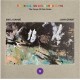 EMILE SANDE/JOHN GRANT-THE ENDLESS COLOURED WAYS: THE SONGS OF NICK DRAKE V (7")