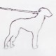 JONAH YANO-PORTRAIT OF A DOG (CD)
