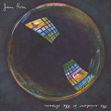 JANA HORN-WINDOW IS THE DREAM (CD)