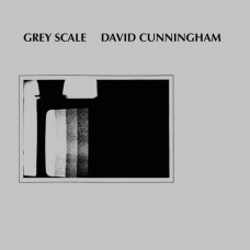 DAVID CUNNINGHAM-GREY SCALE (LP)