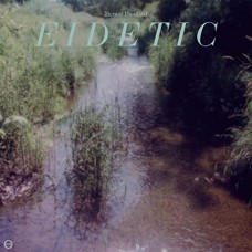 BENOIT PIOULARD-EIDETIC (CD)