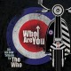 V/A-WHO ARE YOU - AN ALL-STAR TRIBUTE TO THE WHO -COLOURED- (2LP)