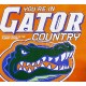 V/A-YOU'RE IN GATOR COUNTRY (CD)