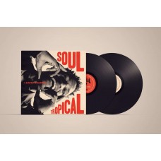 DAVID WALTERS-SOUL TROPICAL (12")