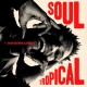 DAVID WALTERS-SOUL TROPICAL (CD)