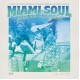 V/A-MIAMI SOUL - SOUL GEMS FROM HENRY STONE RECORDS (2LP)