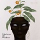 WHATEVER THE WEATHER-TAKE A FRUIT (LP)