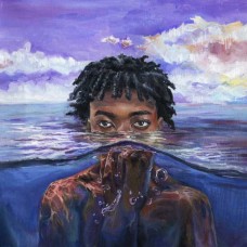 REDVEIL-LEARN 2 SWIM (LP)