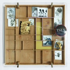 TOLOUSE LOW TRAX-LEAVE ME ALONE -COLOURED- (LP)