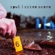 RPWL-CRIME SCENE (CD)