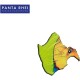 NIKLAS PASCHBURG-PANTA RHEI (CD)
