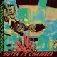 TAKESHI'S CASHEW-ENTER J'S CHAMBER (LP)