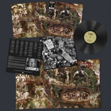 PROTECTOR-HERITAGE (LP)