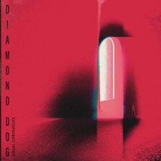 DIAMOND DOG-USUAL CHRONICLES (CD)
