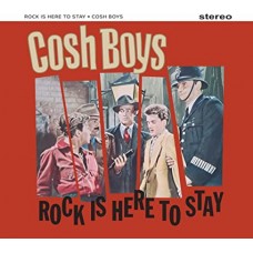 COSH BOYS-ROCK'N'ROLL IS HERE TO STAY (CD)