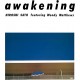 HIROSHI SATO-AWAKENING -COLOURED/ANNIV- (2LP)
