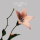 DOOOO-COLORFUL (LP)