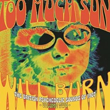 V/A-TOO MUCH SUN WILL BURN: BRITISH PSYCHEDELIC SOUNDS OF 1967 VOL.2 (3CD)