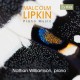 NATHAN WILLIAMSON-LIPKIN: PIANO MUSIC (CD)