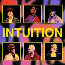 BROOKLYN FUNK ESSENTIALS-INSTUITION (CD)