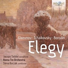 JACOPO TADDEI/ROMA TRE ORCHESTRA/SIEVA BORZAK-ELEGY (CD)