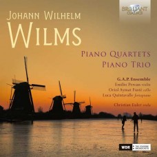 G.A.P. ENSEMBLE-WILMS: PIANO QUARTETS & PIANO TRIO (CD)