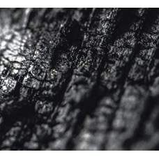 PARALLEL WORLDS-PLECTOR (CD)