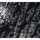 PARALLEL WORLDS-PLECTOR (CD)