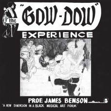 PROF. JAMES BENSON-GOW-DOW EXPERIENCE (LP)