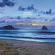 H-BURNS-SUNSET PARK (LP)