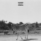 LOUIS VI-EARTHLING (2LP)