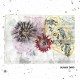 DEAD HORSES-SUNNY DAYS (LP)