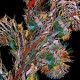 WEVAL-REMEMBER (CD)