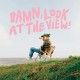 MARTIN LUKE BROWN-DAMN, LOOK AT THE VIEW! -COLOURED- (LP)