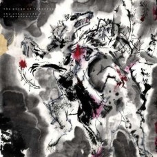PURGE OF TOMORROW (SHACKLON)-OTHER SIDE OF DEVASTATION (LP)