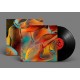 SOLAR CORONA-PACE (LP)