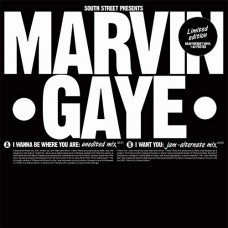 MARVIN GAYE-I WANNA BE WHERE YOU ARE / I WANT YOU -HQ- (12")